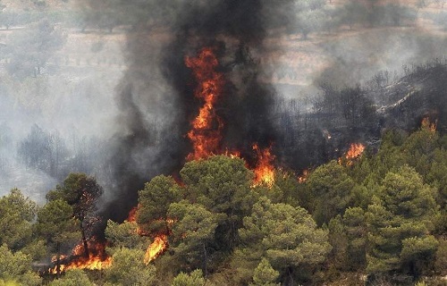 ۱۰۰هکتار از جنگل‌های پلدختر در آتش سوخت