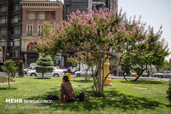 حال و هوای تهرانی‌ها در گرمای داغ پایتخت