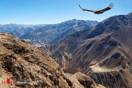 دره کولکا در پرو به روایت تصویر