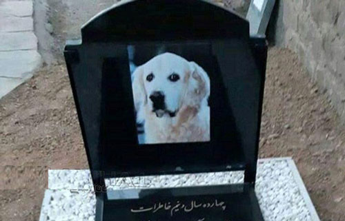 ماجرای مراسم خاکسپاری یک سگ در مسجد!
