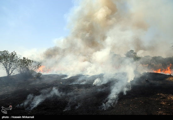 آتش‌سوزی باغستان یک هزار ساله سنتی قزوین