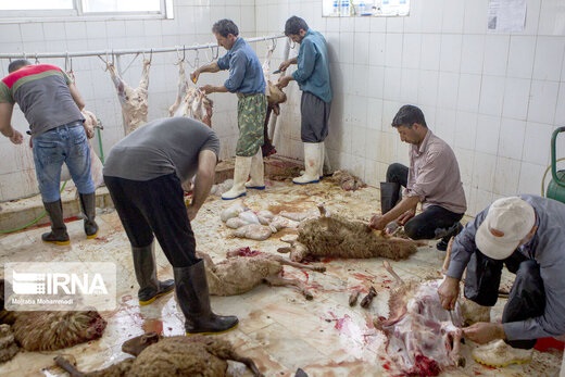 مشکلی که مانع انتقال گوشت‌های قربانی به ایران شد