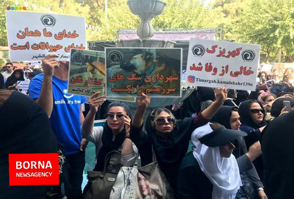 تجمع مقابل شهرداری تهران به خاطر سگ‌کشی