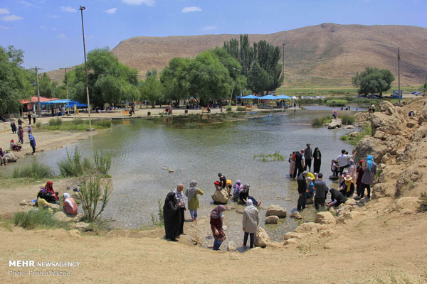 تصاویری از تفریح تابستانی گزدشگران در چشمه دیمه