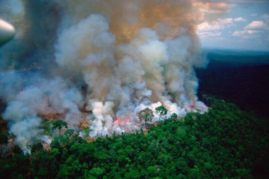 رایزنی برزیل برای اطفای حریق آمازون
