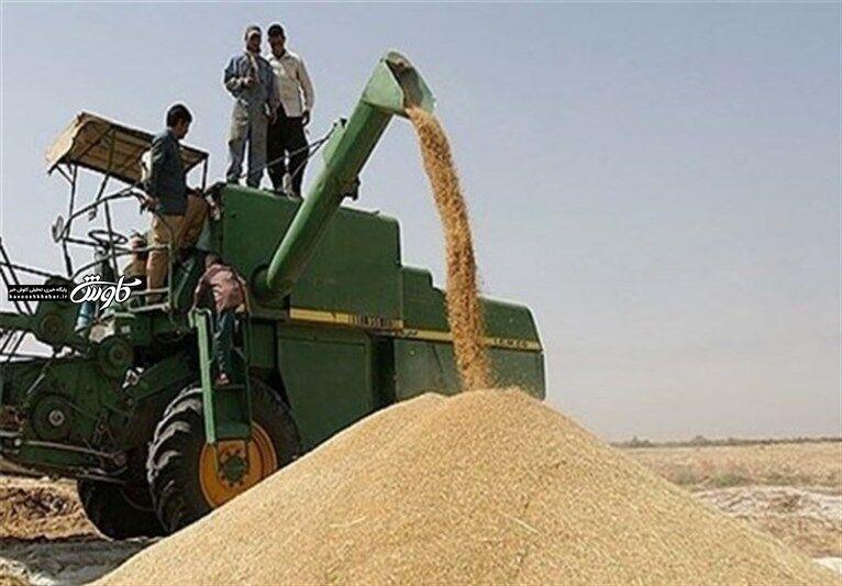 انتقال ۸۰ هزار تن گندم خوزستان به بندرعباس و چابهار