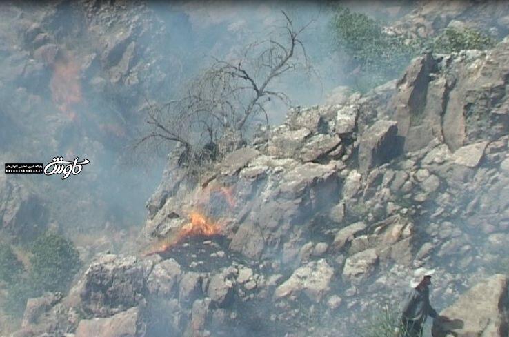 آتش سوزی کوه ادیو اندیکا مهار شد