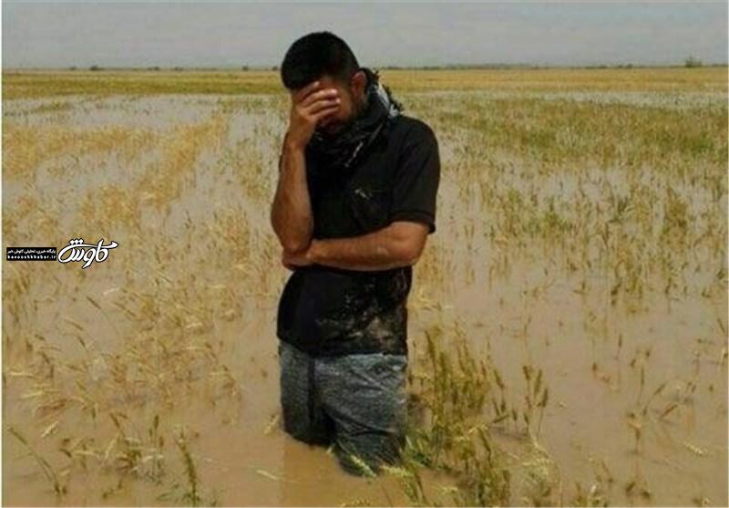 آخرین وضعیت پرداخت غرامت سیل به بخش کشاورزی خوزستان