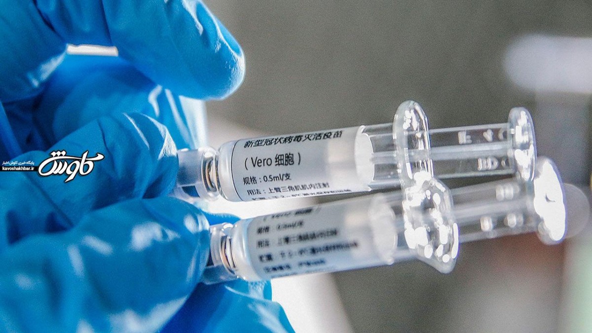 ادعای چین: واکسن کرونا روی میمون با موفقیت آزمایش شد