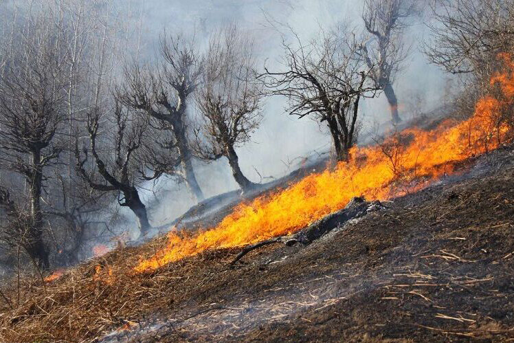 تلاش برای مهار آتش‌سوزی‌های جنگلی در نقاط مختلف خوزستان