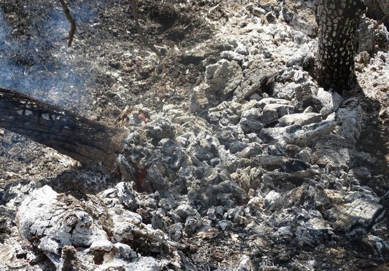 مهار آتش‌ در منطقه خاییز بهبهان،نگرانی از شعله‌ور شدن مجدد