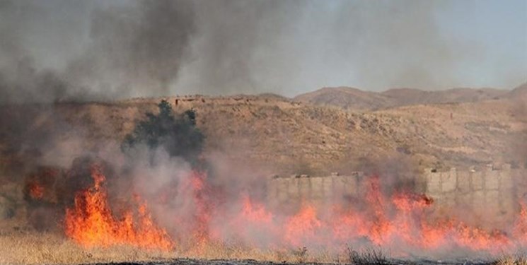 عاملان آتش سوزی مراتع مسجدسلیمان دستگیر شدند
