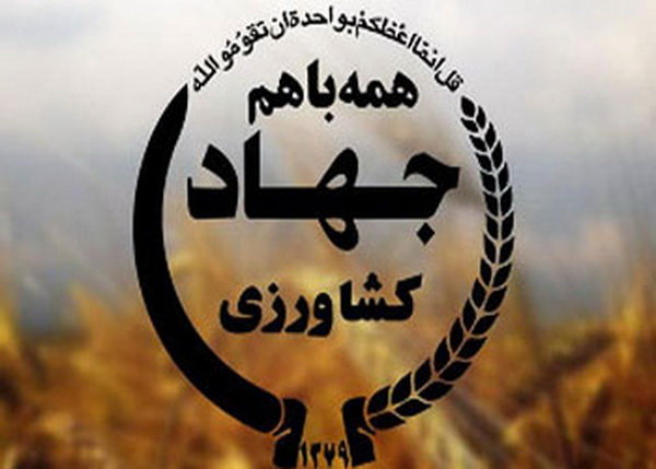 انتصاب رئیس جدید سازمان جهاد کشاورزی خوزستان
