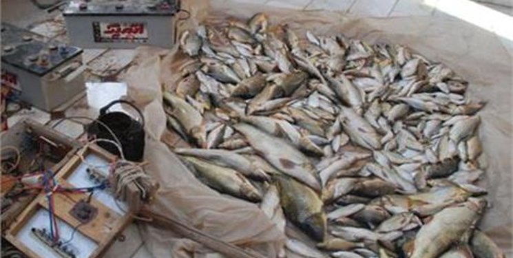 صیادان برقی، کارون را شخم می‌زنند/اعدام برقی ماهیان زیر پل اهواز