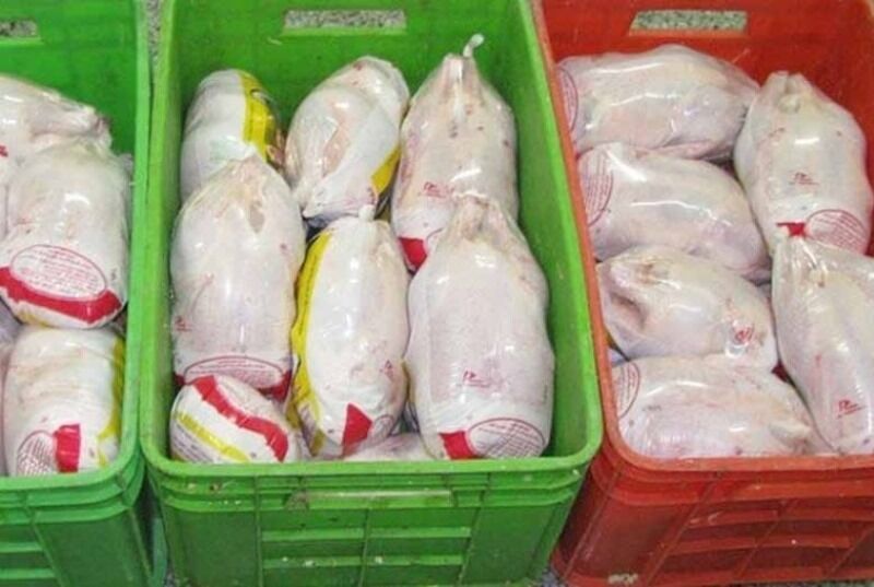 توزیع مرغ منجمد در بازارخوزستان تا زمان تعدیل قیمت