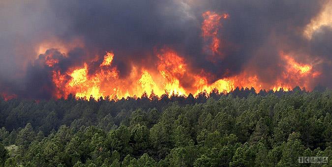 اینفوگرافیک/ آتش‌سوزی‌های جنگلی در خرداد ۹۹ نسبت به خرداد ۹۸