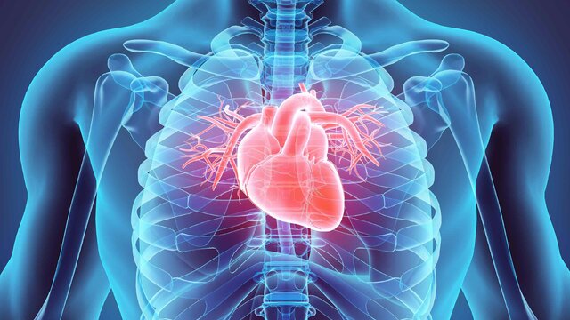 بیماری‌های قلبی عروقی، عامل ۴۳ درصد مرگ‌ها در خوزستان