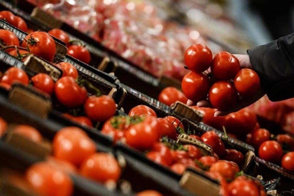 آزاد شدن صادرات عامل افزایش قیمت گوجه فرنگی در خوزستان