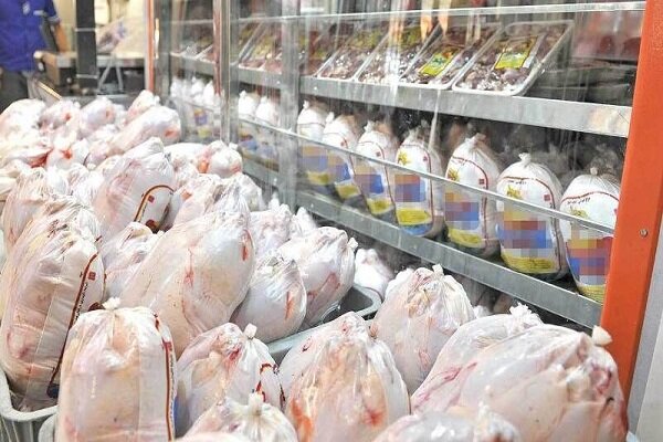 تداوم توزیع مرغ منجمد برای کاهش قیمت مرغ کشتار روز در خوزستان