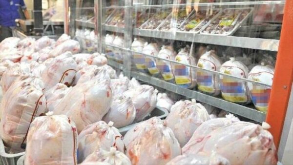خارج کردن مرغ از خوزستان قاچاق محسوب می شود/ برخورد جدی با متخلفان عرضه مرغ