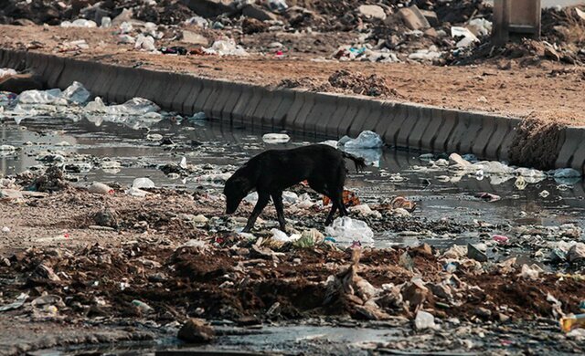 شهری در اشغال آشغال