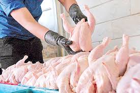 علت صف‌های طولانی مرغ در خوزستان 