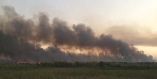 آتش سوزی سه هزار هکتار از تالاب هورالعظیم