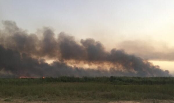 مهار آتش‌سوزی تالاب هورالعظیم در خوزستان