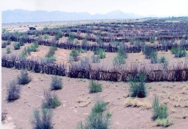 ۶۰ تا ۷۰ درصد برنامه‌های پیش بینی شده برای بیابان زدایی در خوزستان اجرایی شدند