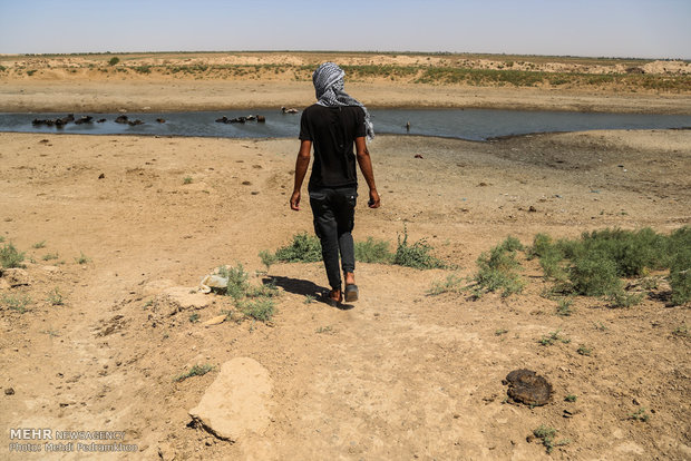 فعالان محیط زیستی خوزستان خواستار تأمین حق آبه هورالعظیم شدند