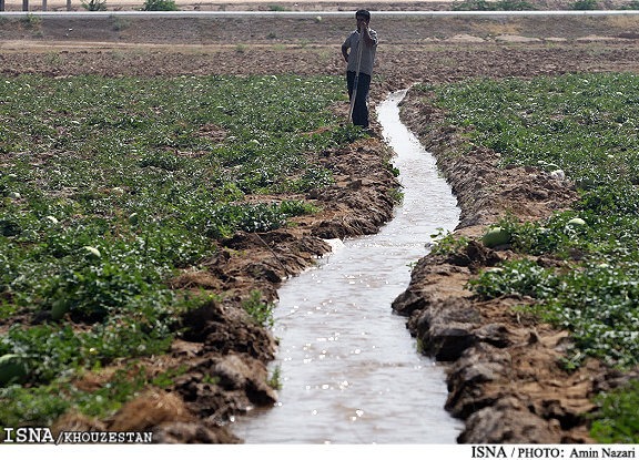 کاهش ۴۵ درصدی آب کشت پاییزه خوزستان نسبت به سال گذشته