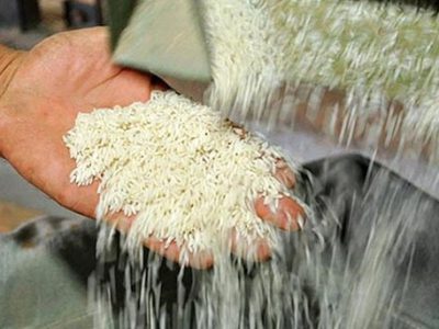 افزایش ۱۰ تا ۲۰ درصدی نرخ برنج خارجی/ واردات برنج تایلندی ممنوع شد