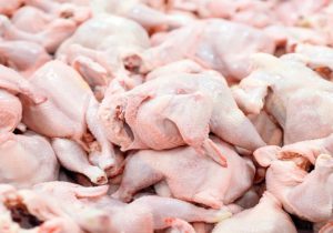 افزایش نرخ مرغ به ۶۵ هزار تومان/ مصرف مرغ ۲۰ درصد کاهش یافت