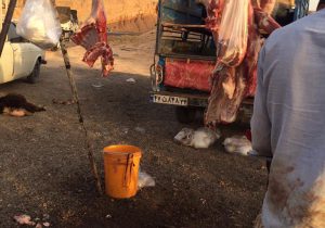 گردن از مو باریک‌تر سرمایه‌گذار/ تیغ برنده دامپزشکی فقط برای کشتارگاه اهواز و آزادی ذبح غیرمجاز در خوزستان!