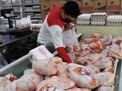 ضرر یک هزار میلیارد تومانی مرغداران خوزستانی/ علت کمبود مرغ چیست؟