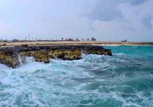 هشدار نارنجی باد شدید و افزایش ارتفاع موج در سواحل خلیج فارس