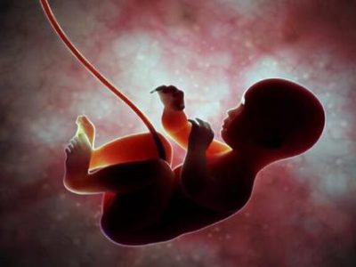 سخنگوی وزارت بهداشت: غربالگری جنین ممنوع نیست