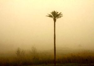 هشدار زرد وقوع گرد و خاک در خوزستان/ پیش‌بینی رگبار و رعد و برق