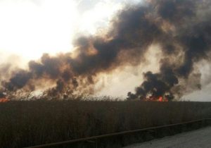 نماینده مجلس: دود آتش‌سوزی هورالعظیم برای سلامت خوزستانی‌ها مشکل ایجاد کرده است