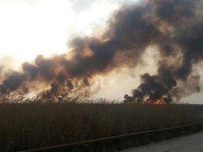 تالاب هورالعظیم همچنان در آتش می‌سوزد/ کشور عراق هیچگونه همکاری برای جلوگیری آتش سوزی ندارد