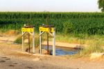 آغاز عقد قرارداد آب زراعی در شبکه آبیاری دز