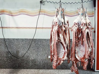 گرانی گوشت قرمز در خوزستان/ ناتوانی سازمان جهاد کشاورزی در مدیریت تامین و توزیع گوشت قرمز