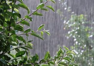 پیش‌بینی باران برای ارتفاعات خوزستان